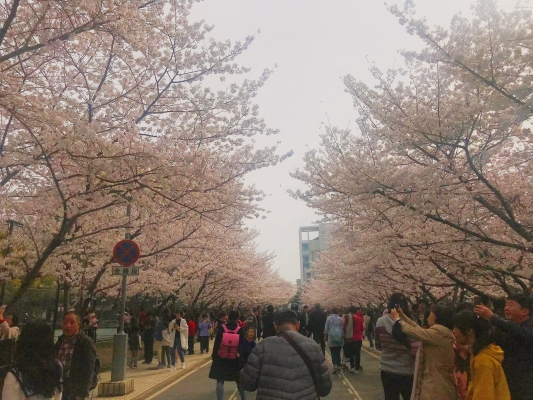 赤峰和美網(wǎng)球場(chǎng)電話地址查詢-第1張圖片