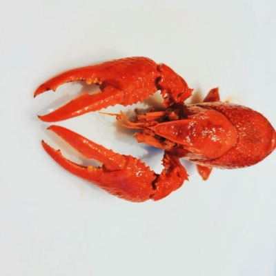 赤峰市九典書房電話號碼-第1張圖片