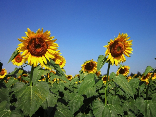 赤峰紅山區(qū)水利社區(qū)電話號碼-第1張圖片