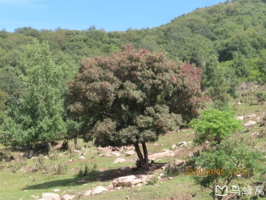 赤峰徒步主播招聘電話號碼-第1張圖片
