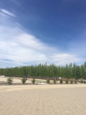 赤峰林西縣快遞電話是多少-第1張圖片