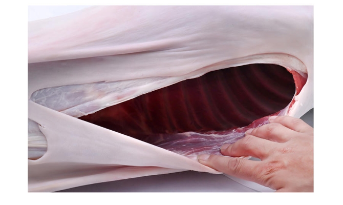 赤峰被子加工廠電話地址查詢(xún)-第1張圖片