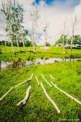 赤峰物業(yè)挖樹電話號碼查詢-第1張圖片