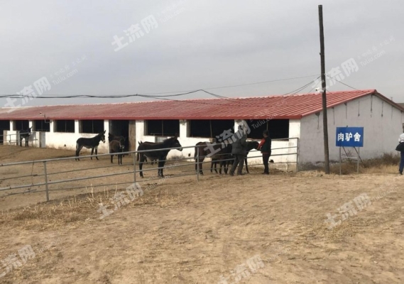 赤峰收水井廠家直銷電話號碼-第1張圖片