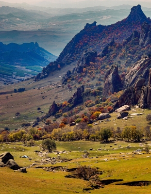 赤峰大飛造型店地址電話號(hào)碼-第1張圖片