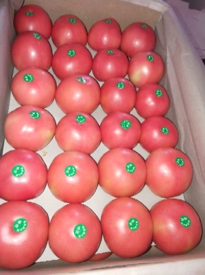 赤峰寧城貼紙廠電話多少號(hào)-第1張圖片