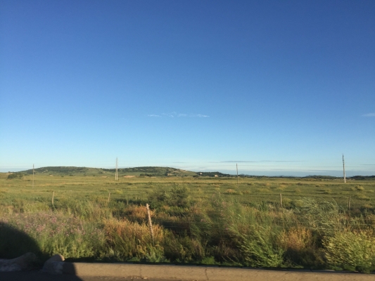 赤峰市收毛驢電話地址查詢-第1張圖片