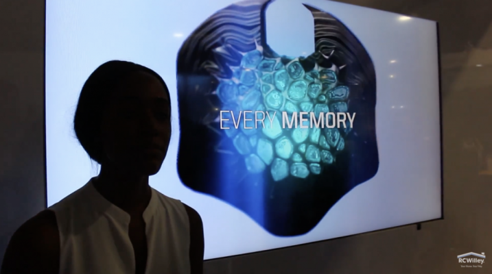 赤峰黑科技公司地址電話號碼-第1張圖片