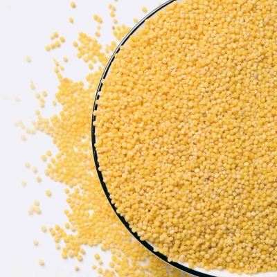 赤峰小米糧油批發(fā)電話號碼-第1張圖片