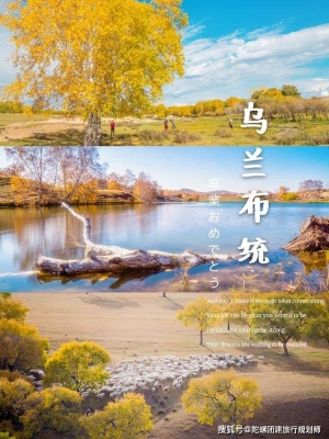 赤峰市油畫代理公司電話號(hào)碼-第1張圖片