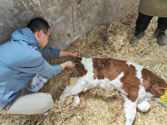 赤峰獸醫(yī)聯(lián)系電話是多少號-第1張圖片