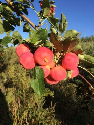 赤峰林西農(nóng)電咨詢電話號(hào)碼-第1張圖片