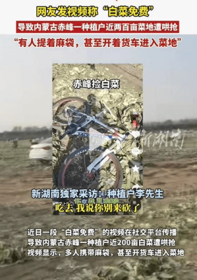 赤峰私人菜園出租電話多少號-第1張圖片