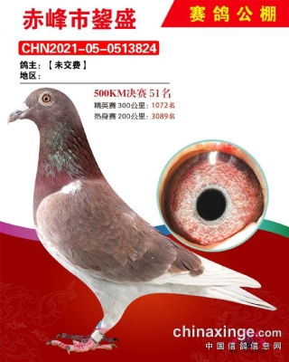 赤峰文物拍賣中心地址電話號(hào)碼-第1張圖片