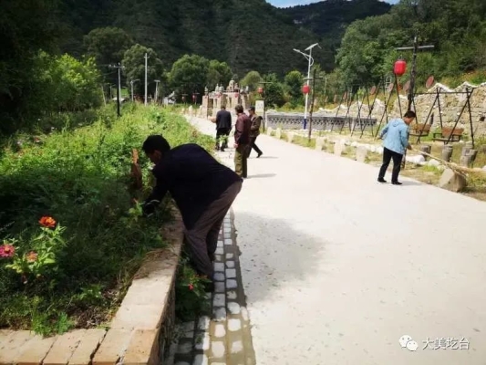 赤峰榆樹辣椒種植基地電話號碼-第1張圖片
