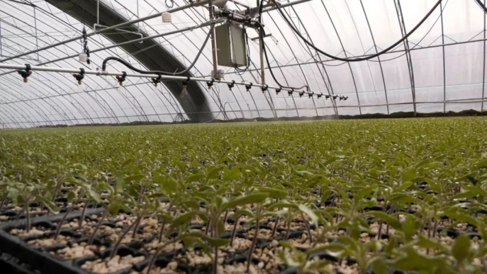 赤峰沙坨子市場(chǎng)地址電話號(hào)碼-第1張圖片