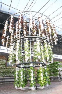 赤峰水培鮮花基地電話號(hào)碼-第1張圖片