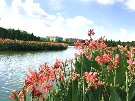 赤峰興虹水族館電話號(hào)碼-第1張圖片