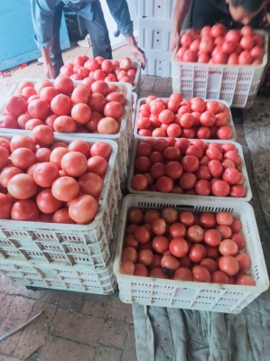 赤峰大城子疫情防控電話號碼-第1張圖片