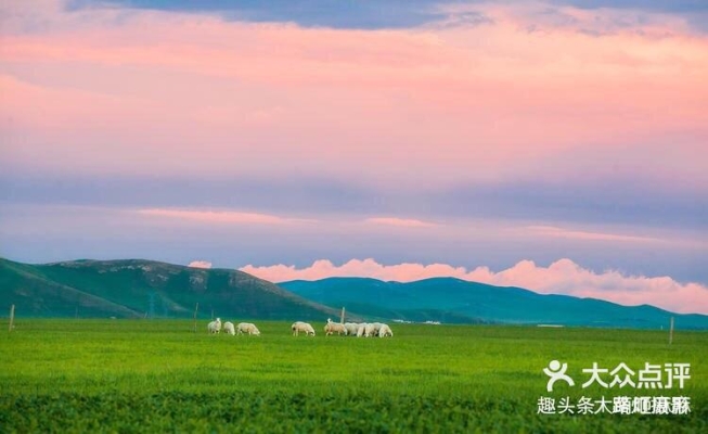 赤峰草原咖啡廳地址電話號碼-第1張圖片