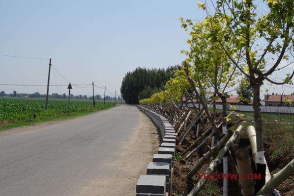 赤峰隨家窩鋪電話號(hào)碼查詢-第1張圖片