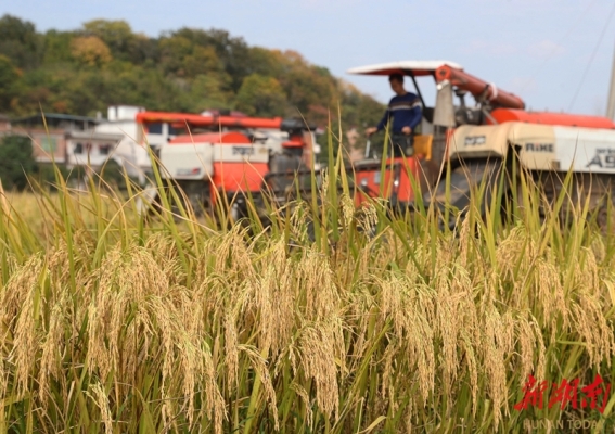 赤峰金秋農(nóng)機(jī)電話號(hào)碼查詢-第1張圖片