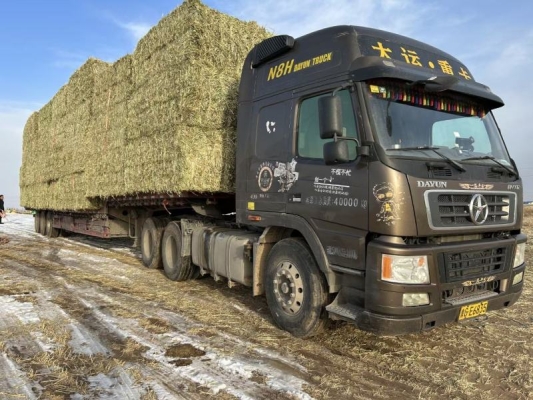 赤峰燕麥銷(xiāo)售電話號(hào)碼查詢(xún)是多少-第1張圖片