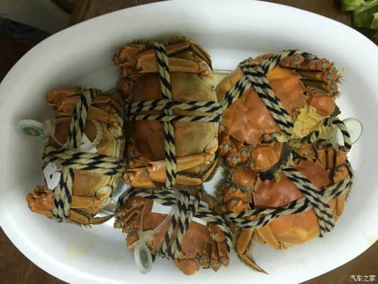 赤峰開車教練電話號碼查詢是多少-第1張圖片