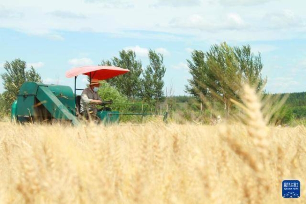 赤峰大麥購買電話號碼查詢系統(tǒng)-第1張圖片