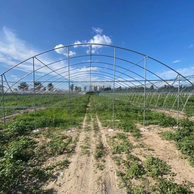 赤峰大棚骨架實(shí)體廠家電話號(hào)碼-第1張圖片