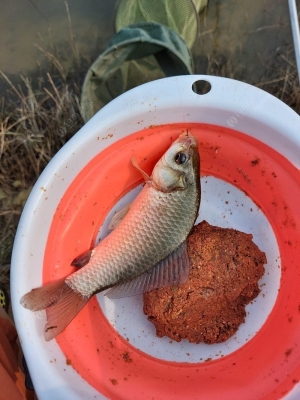 赤峰魚(yú)樂(lè)圈垂釣中心電話號(hào)碼-第1張圖片