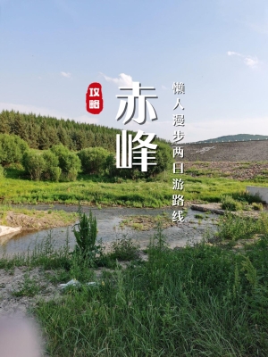 赤峰龍尊會館電話號碼查詢-第1張圖片