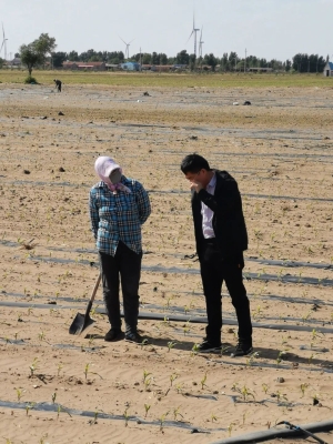 三豐種業(yè)赤峰代理電話號碼-第1張圖片