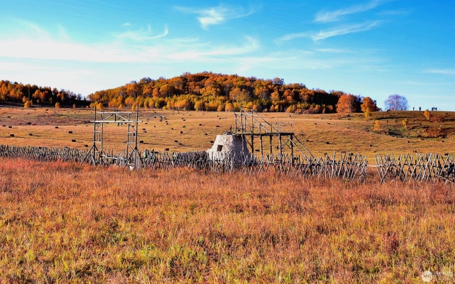赤峰市林東漂流電話號碼-第1張圖片
