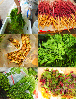 赤峰批發(fā)水果市場-第1張圖片