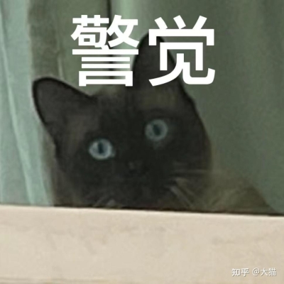 赤峰抓流浪貓領(lǐng)養(yǎng)電話號碼-第1張圖片