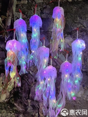 赤峰水母擺攤電話多少號碼啊-第1張圖片