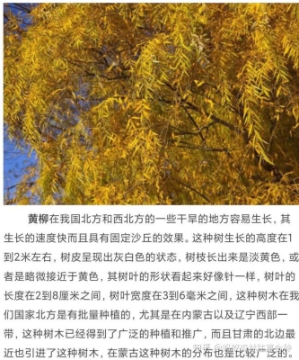 赤峰求購苗木市場電話多少號-第1張圖片