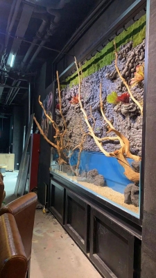 赤峰市區(qū)魚缸定制店電話號碼-第1張圖片