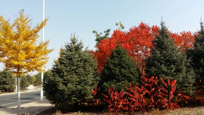 赤峰迷藏破案館電話號碼查詢-第1張圖片