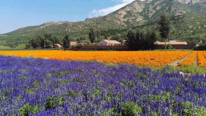 赤峰大力飯莊電話多少啊-第1張圖片