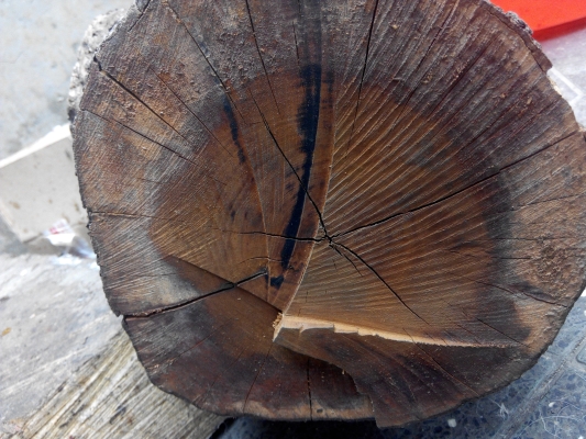 赤峰公園彈弓專賣店電話號(hào)碼-第1張圖片