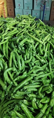 赤峰尖椒銷售電話是多少號(hào)-第1張圖片