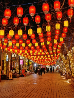 赤峰鋼鐵街彩燈電話號(hào)碼查詢-第1張圖片