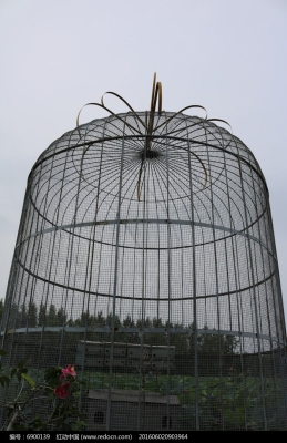 赤峰賣鳥(niǎo)籠子的地方電話號(hào)碼-第1張圖片