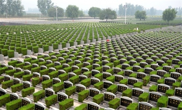 赤峰小型泵車銷售公司電話號(hào)碼-第1張圖片