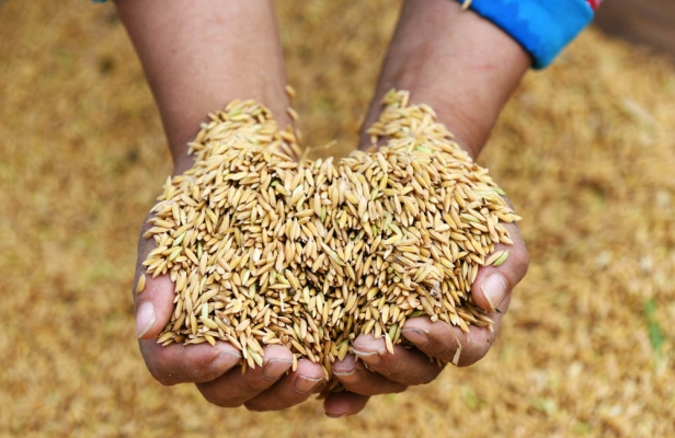 赤峰鴨絨收購(gòu)電話(huà)地址是多少號(hào)-第1張圖片