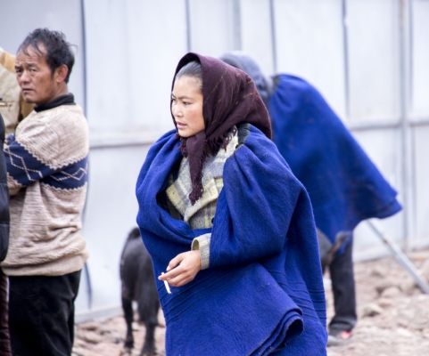 赤峰市牛馬市場(chǎng)電話號(hào)碼-第1張圖片