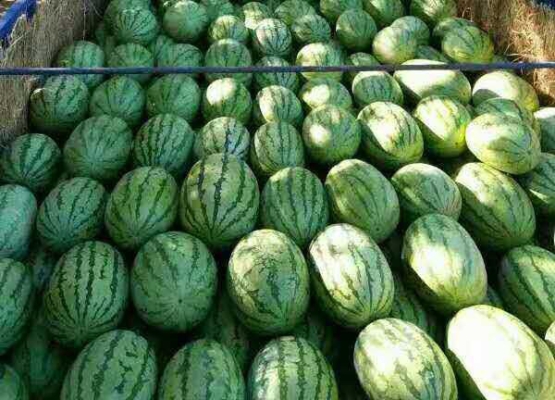 赤峰烏丹食品廠電話號(hào)碼-第1張圖片