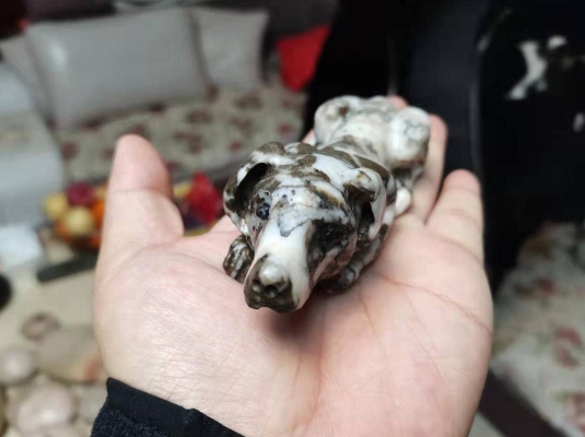 赤峰市鑒寶機構(gòu)電話號碼-第1張圖片